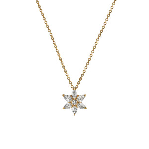 H. D. Krieger - Stars Anhänger