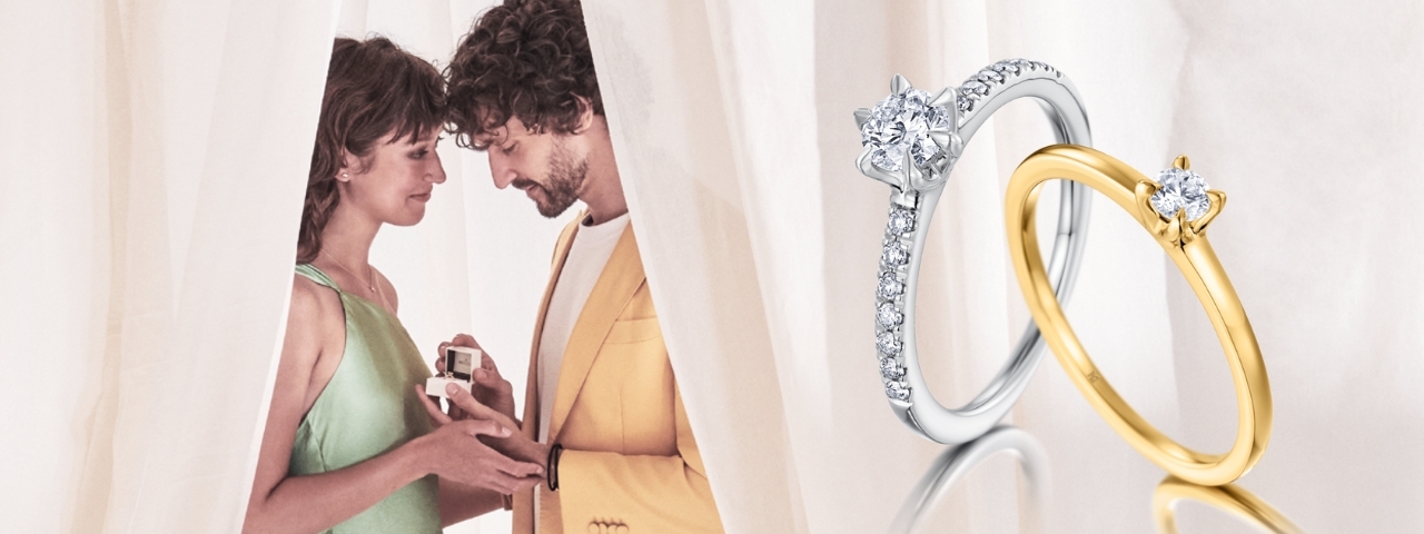 meister-banner-1280x480px (1)